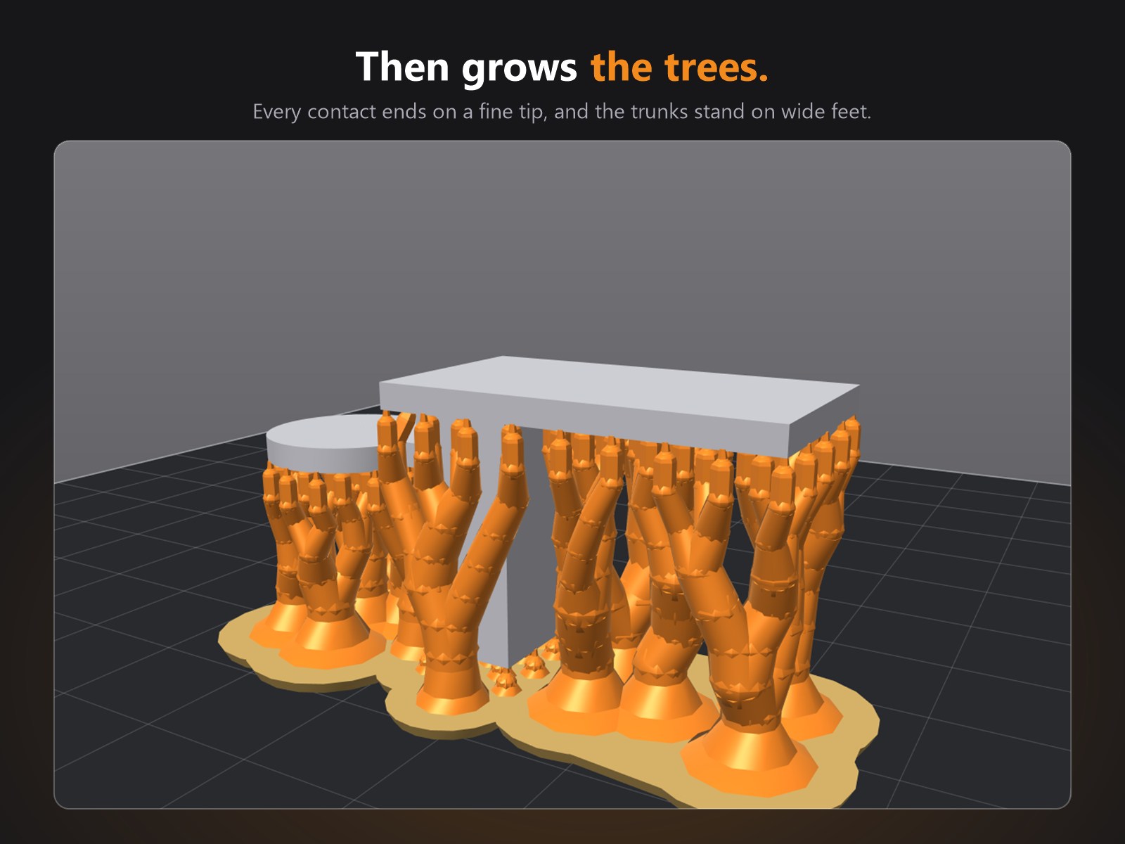 The same test shelf held by orange tree supports ending in fine tips along its edges